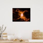 Reuzenspinnevel | Spider Lovers Gift Poster (Keuken)