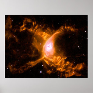 Reuzenspinnevel Spider Lovers Gift Poster