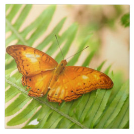 Reuzenvlinder Tegeltje