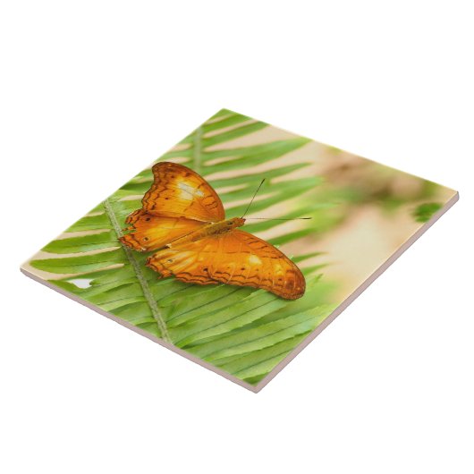 Reuzenvlinder Tegeltje (Zijkant)