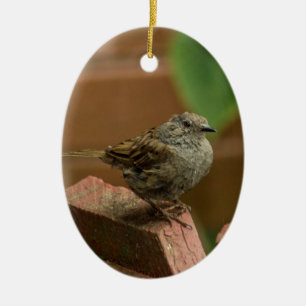 Reuzenvogel Keramisch Ornament