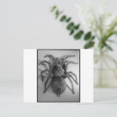 Reuzenvogeleetspin Briefkaart (Staand voorkant)