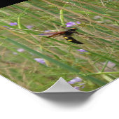 Reuzenwesp in vlucht poster (Hoek)