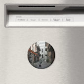 reuzenwielmagneet #2 magneet (Insitu (Vaatwasser))