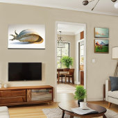 Reuzenzeeschelp Wall Art Oceanic Home Decor Canvas Afdruk