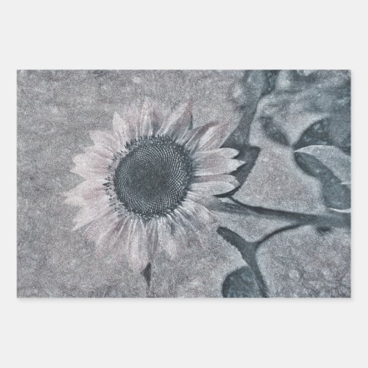 reuzenzonnebloem, zwart en wit inpakpapier vel (Voorkant 3)