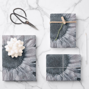 reuzenzonnebloem, zwart en wit inpakpapier vel