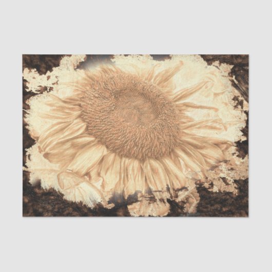 reuzenzonnebloemen Gekleurd in Rustic Vignette Tissuepapier (Voorkant)