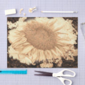 reuzenzonnebloemen Gekleurd in Rustic Vignette Tissuepapier (Craft)