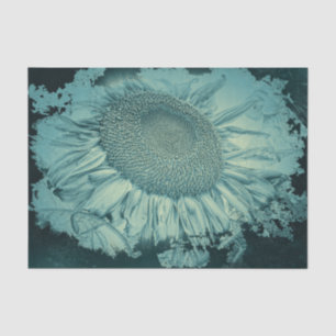 Reuzenzonnebloemen Vintage Turquoise Vignettextuur Tissuepapier