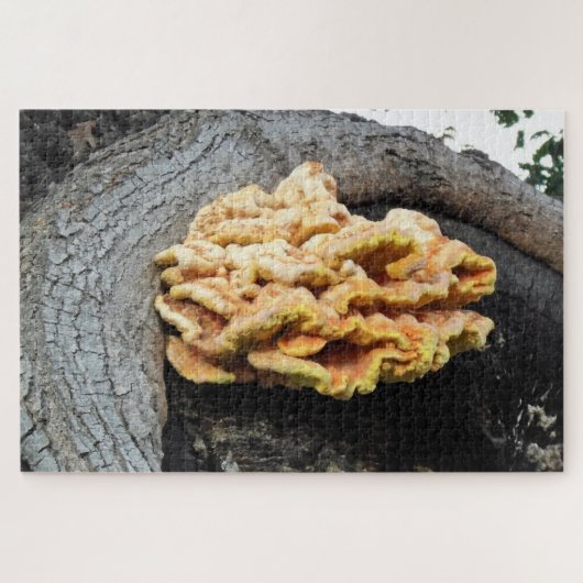 Reuzenzwam Mycelium Puzzel (Horizontaal)