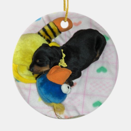 Reva-versiering Keramisch Ornament (Voorkant)