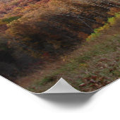 REVELATION RAINBOW PEGASUS POSTER (Hoek)