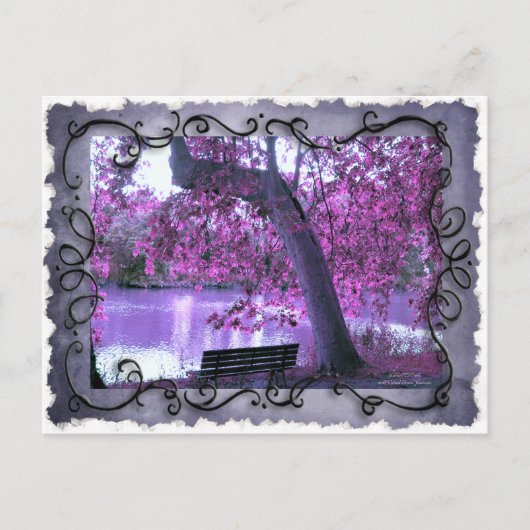 Reverie () briefkaart (Voorkant)