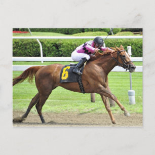 Review boeken briefkaart