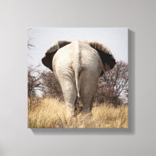 Review of elephant canvas afdruk