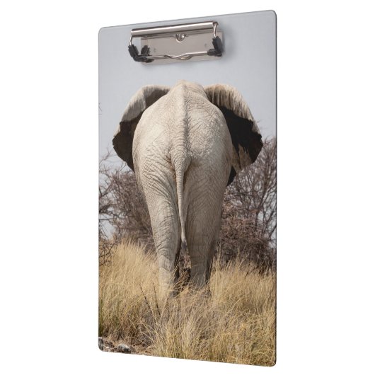 Review of elephant klembord (Links)