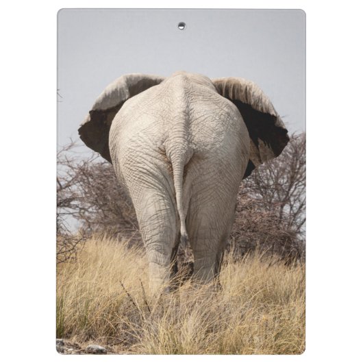 Review of elephant klembord (Achterkant)