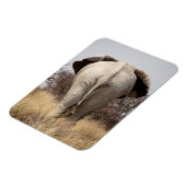 Review of elephant magneet (Linkerzijde)