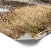 Review of elephant poster (Hoek)