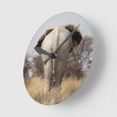 Review of elephant ronde klok (Hoek)