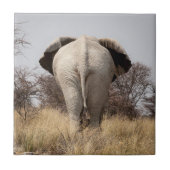 Review of elephant tegeltje (Voorkant)