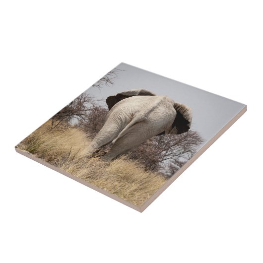 Review of elephant tegeltje (Zijkant)