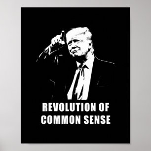 Revolutie van gezond verstand – Trump inauguratie Poster