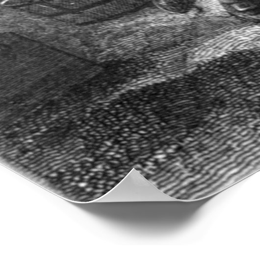 Revolutionaire Molly Pitcher Cannon Print (Hoek)