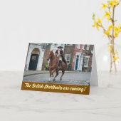 Revolutionaire Oorlog Tabby Kaart (Gele Bloem)