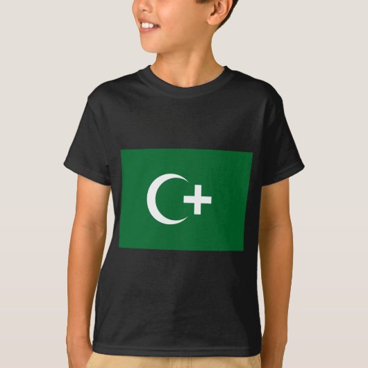 Revolutionaire vlag van Egypte (1919) T-shirt (Voorkant)