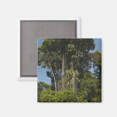 Rewa rivier rand Regenwoud Guyana Magneet (Voorkant / Achterkant)