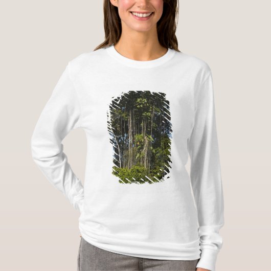 Rewa rivier rand Regenwoud Guyana T-shirt (Voorkant)