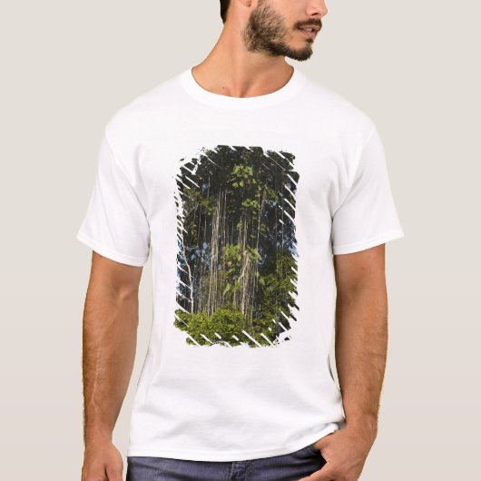 Rewa rivier rand Regenwoud Guyana T-shirt (Voorkant)