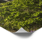 Rewa Rivierrand Rainforest Guyana Poster (Hoek)