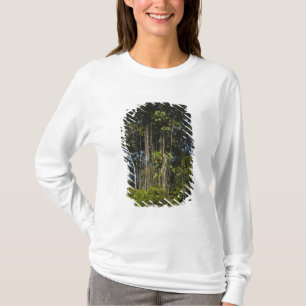 Rewa Rivierrand Rainforest Guyana T-shirt