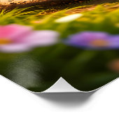 Rex and hoot playtime fun vibrant nursery wall pos perfect poster (Hoek)