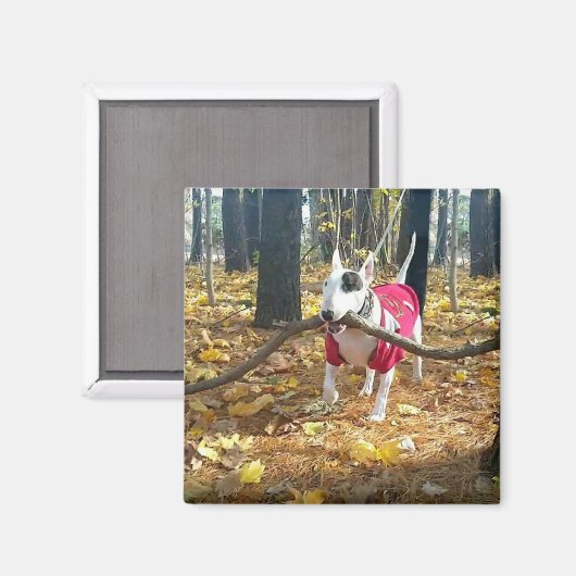 Rex Autumn stick van de dag Magneet (Voorkant / Achterkant)