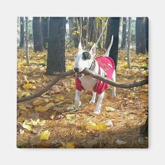 Rex Autumn stick van de dag Magneet (Voorkant)