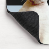 Rex Cat Blue/Black Stripe Mousepad Muismat (Hoek)