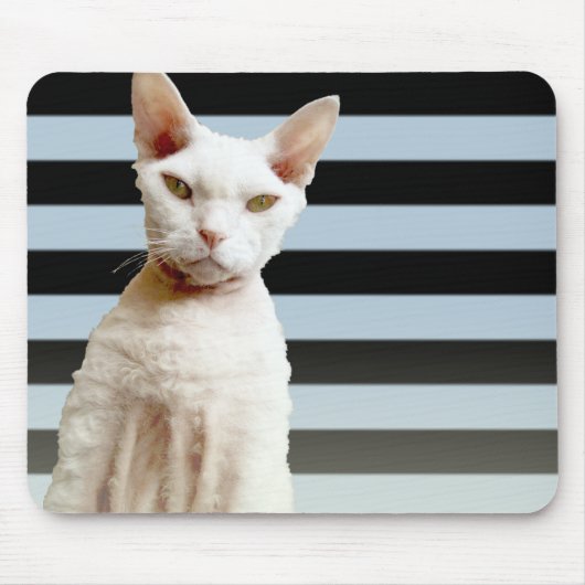Rex Cat Blue/Black Stripe Mousepad Muismat (Voorkant)