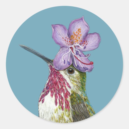 Rex de calliope kolibrie stickers (Voorkant)