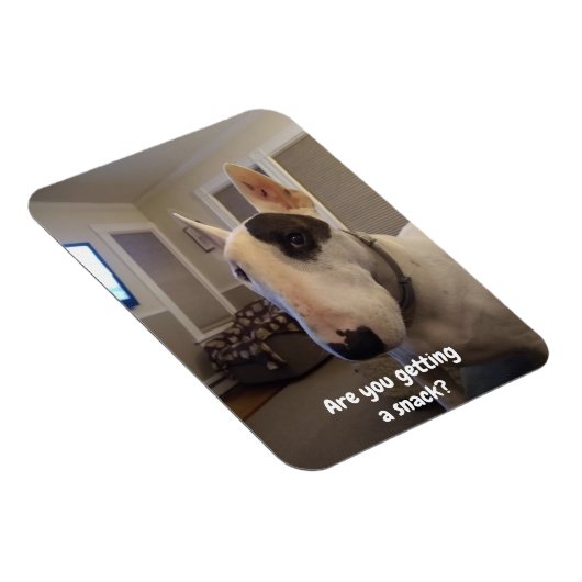 Rex de koelkast van de Terrier van TV Magnet Magneet (Rechterzijde)