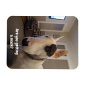 Rex de koelkast van de Terrier van TV Magnet Magneet (Horizontaal)