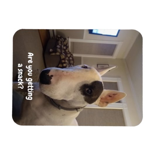 Rex de koelkast van de Terrier van TV Magnet Magneet (Horizontaal)