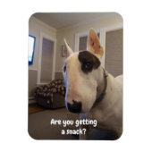 Rex de koelkast van de Terrier van TV Magnet Magneet (Verticaal)