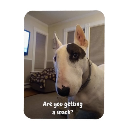 Rex de koelkast van de Terrier van TV Magnet Magneet (Verticaal)