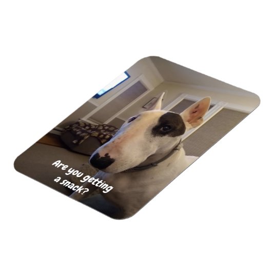 Rex de koelkast van de Terrier van TV Magnet Magneet (Linkerzijde)