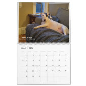 Rex de TV Terrier 2021-agenda Kalender (Mar 2026)