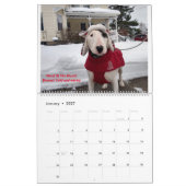 Rex de TV Terrier 2021-agenda Kalender (Jan 2027)